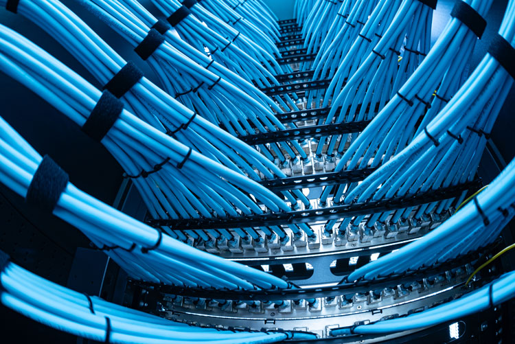 fiber-optic-cables-data-center-blue fiber-optic-cables-data-center-blue